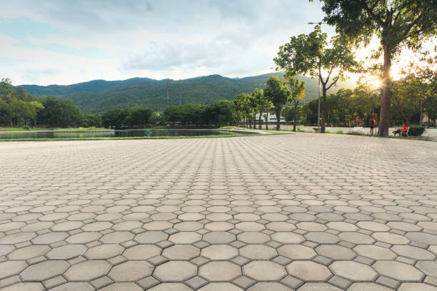 Best Driveway Paving Company  in Canterwood, WA